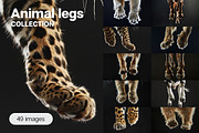 Animal Legs - 49 images, an Animal Photo by Handmadefont (Thumbnail 1 of 13)