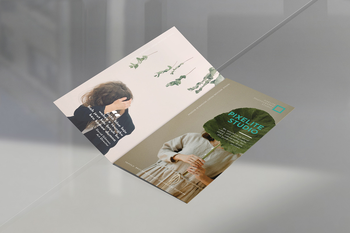 Photography Trifold, a Brochure Template by Bookrak Graphic Design (Photo 7 of 9)