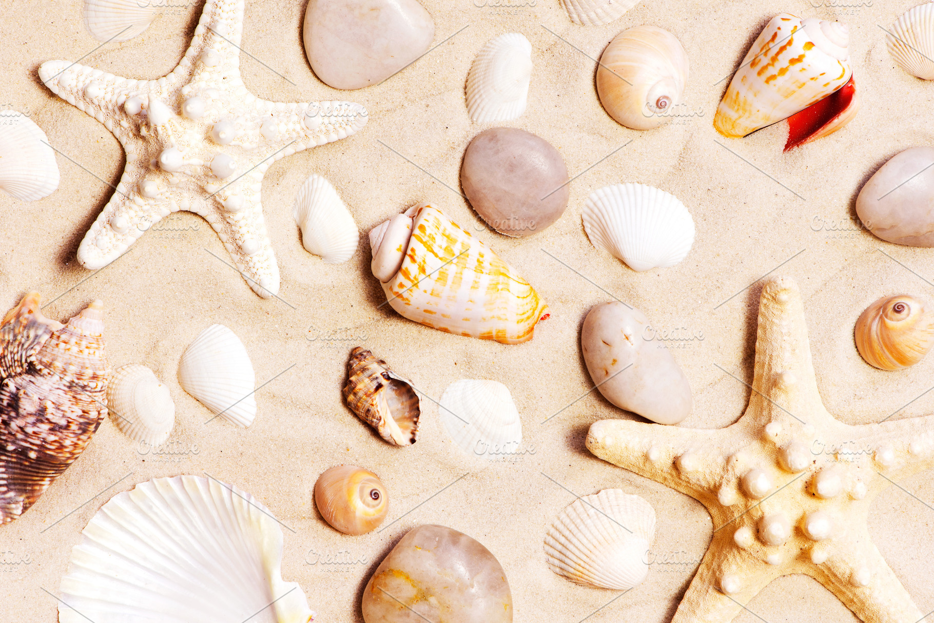Various seashells and stones stock photo containing sand and shell, a Nature Photo by AlinaKho