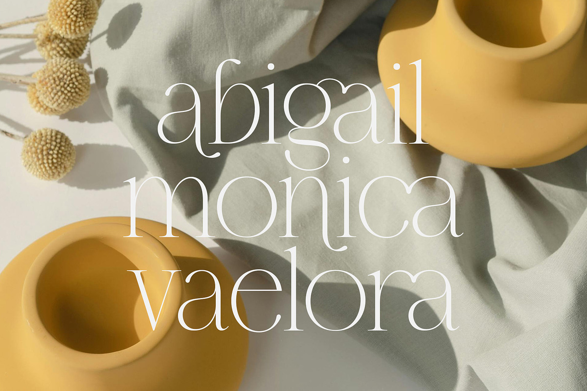 Brumer | Modern Elegant Serif, a Serif Font by Typoraith Co (Photo 9 of 10)