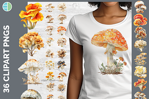 Mushroom Illustration Bundle, 35 PNG