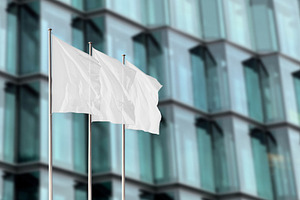 Group of white corporate flags, a Business Photo by BOOCYS