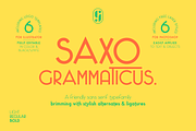 Saxo Grammaticus Font + Extras, a Sans Serif Font by Jonas Stensgaard (Thumbnail 1 of 27)