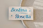 Gotten Summer Modern Serif Font, a Script Font by timelesstype.co (Thumbnail 5 of 20)