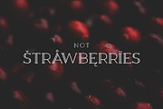 Berry Slab Serif Font, a Slab Serif Font by Graphicdome (Thumbnail 6 of 9)