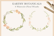Earthy Botanicals Florals & Leaves, a Decorative Illustration by Momo Studio (Thumbnail 11 of 12)