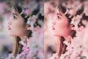 Sakura Rose Gold Lightroom Presets, a Preset Add-On by AAA Presets (Thumbnail 3 of 23)