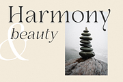 Selna, a Serif Font by Larin Type Co. (Thumbnail 11 of 15)