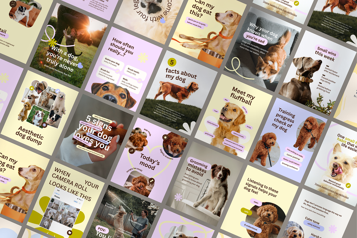 Dog Instagram Canva Templates, a Social Media Template by CanvaTemplateClubCo (Photo 1 of 9)
