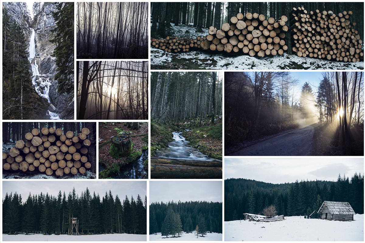 Mystic Forest Photo Pack - 60 Images, a Templates & Theme by Dreamy Pixel (Photo 4 of 5)
