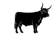 Rustic Highland cow wall art design, an Illustration by Amazin_art (Thumbnail 36 of 40)