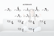 Agreeable | Script Font, a Handwritten Font by Scratchones (Thumbnail 8 of 9)