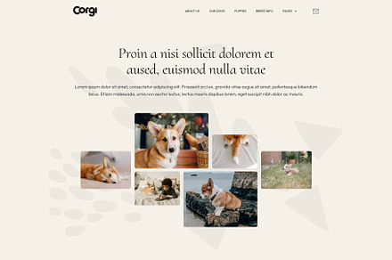 Corgi a dog breeder Elementor PRO TemplateKit Creative Market