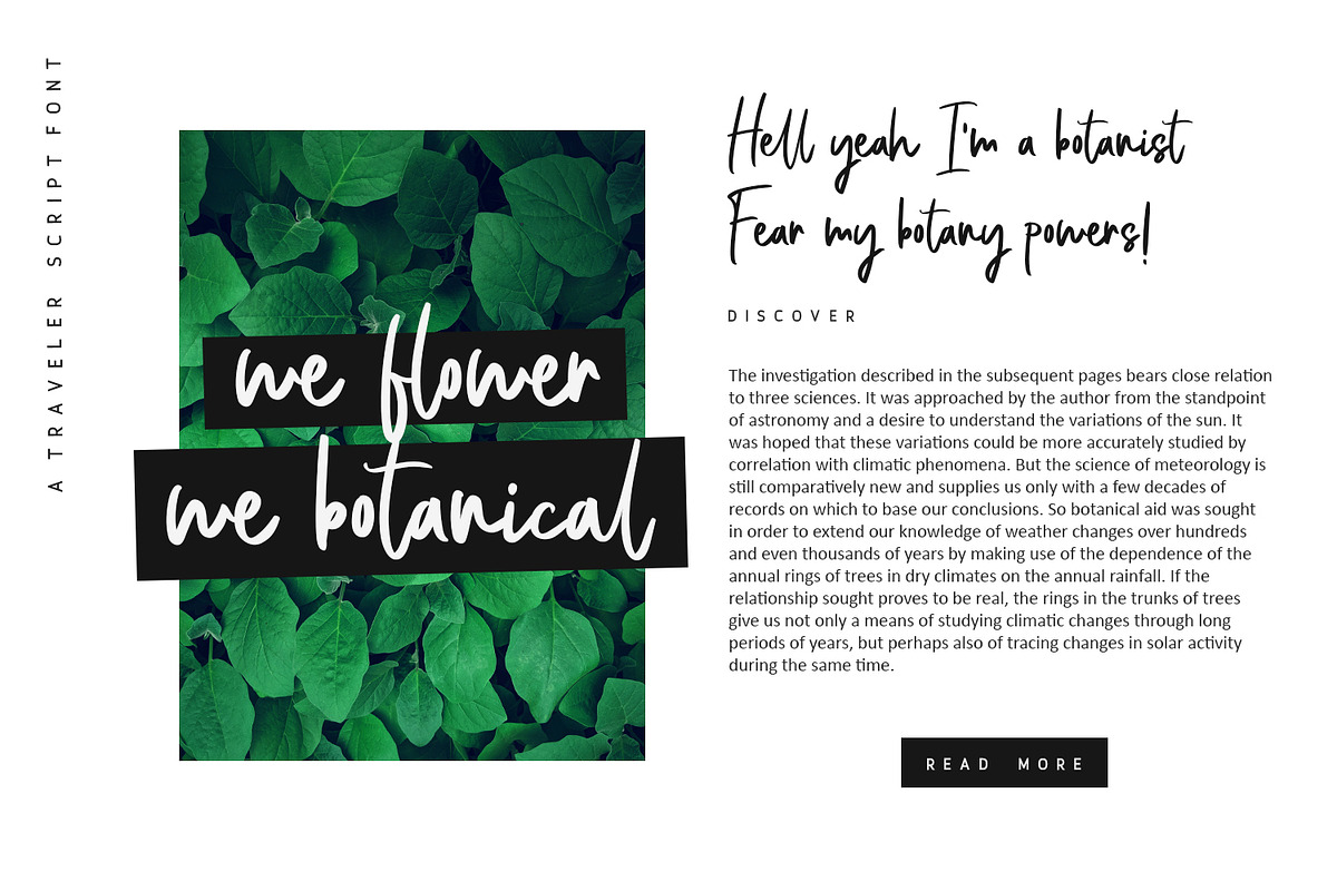 Bellevue // A Traveler Script Font preview 5