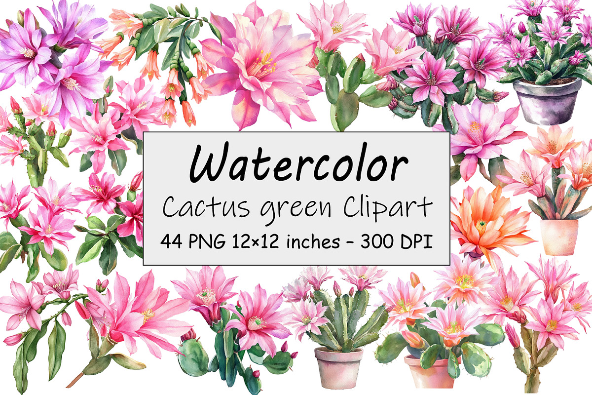 Cactus green Clipart, an Illustration by Design Market (Photo 1 of 3)