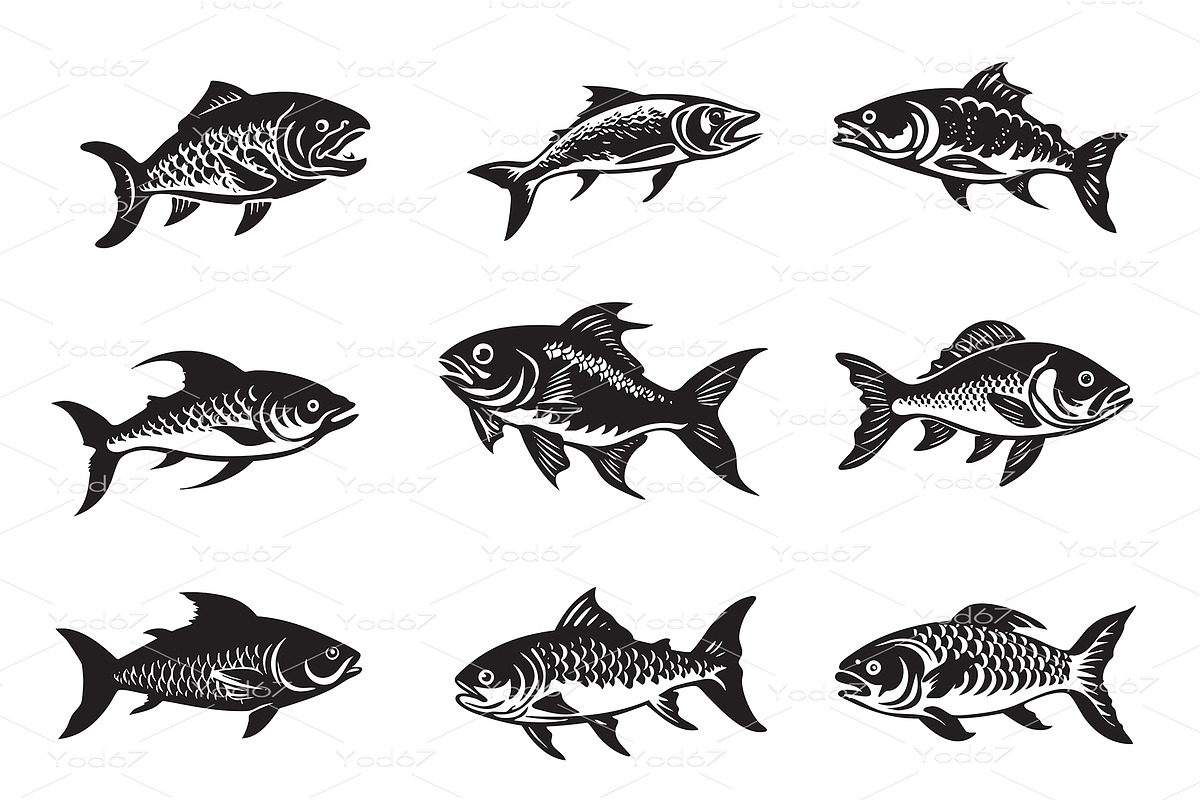 Collection of various tarpon oxeye, an Animal Illustration by yod67