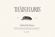 Alizee - Classy Hybrid Serif, a Serif Font by Harmonais Visual (Thumbnail 21 of 29)