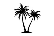 Tropical Palm Tree Bundle, an Illustration by BIPLOB EXPERT (Thumbnail 20 of 21)