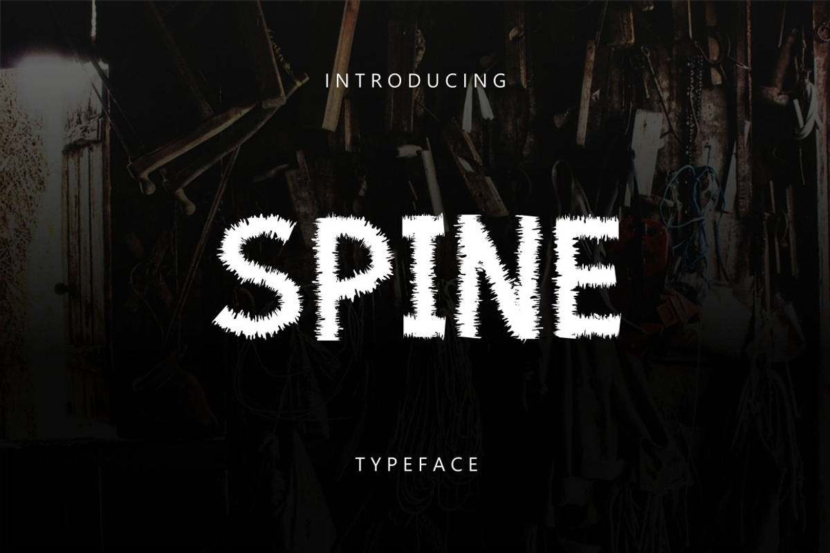 WINTER SALE - Sans Serif Bundle!, a Sans Serif Font by Graphicfresh (Photo 30 of 33)