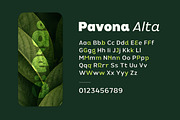 Pavona Alta - Pure Renewable Sans, a Sans Serif Font by twinstd (Thumbnail 10 of 13)