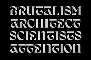 Amient – Modern Display Font, a Serif Font by Piotr Łapa (Thumbnail 7 of 12)