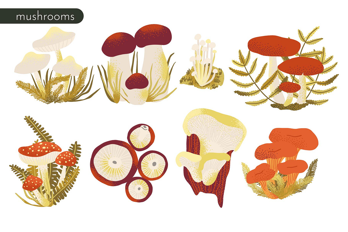HELLO AUTUMN: clipart|border|pattern, a Seasonal Illustration by Elliko shop (Photo 7 of 12)