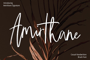 Amirthane - Brush Signature