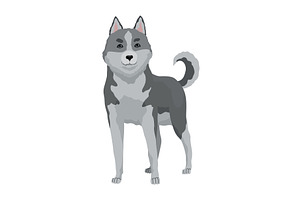 Cute gray wolf pose. Cartoon, an Animal Illustration by the8monkey