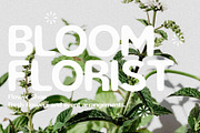 Mojito - Summer Vintage Sans, a Sans Serif Font by Schrifted Type (Thumbnail 6 of 8)