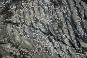 Rock Textures, a Texture Graphic by obejay (Thumbnail 4 of 4)