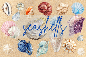 Watercolor seashells clipart