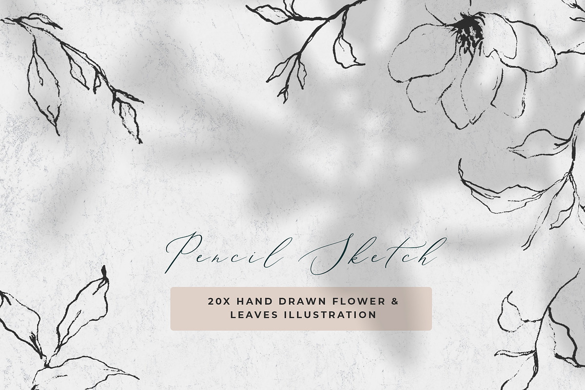 Fine Art Leaves Sketch& Illustration, a Decorative Illustration by WalaPalette (Photo 1 of 5)