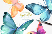 Watercolor Butterflies, an Illustration by beehouse studio (Thumbnail 3 of 4)