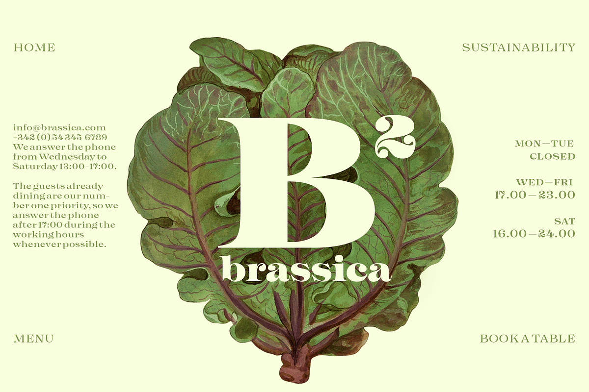 Imagist Intro Super Sale!, a Serif Font by Fenotype (Photo 6 of 10)