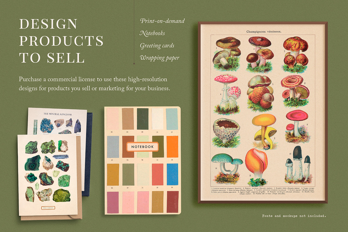 BUNDLE: 200 Vintage Art Prints, a Decorative Illustration by The Object Atlas (Photo 10 of 22)