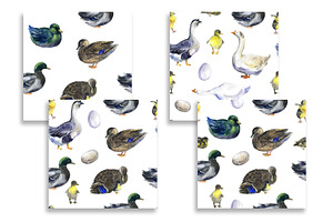 Watercolor Farm Clipart, Goose Art