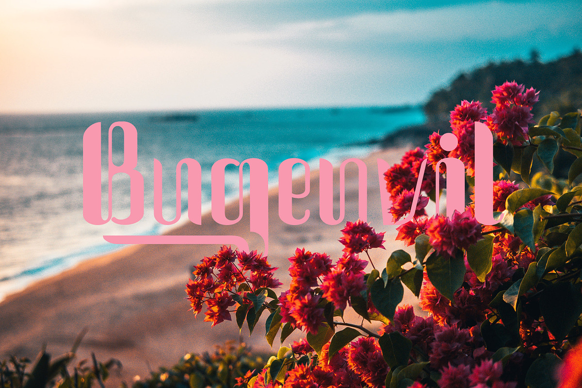 Cintiya, a Font by Funtype (Photo 7 of 11)