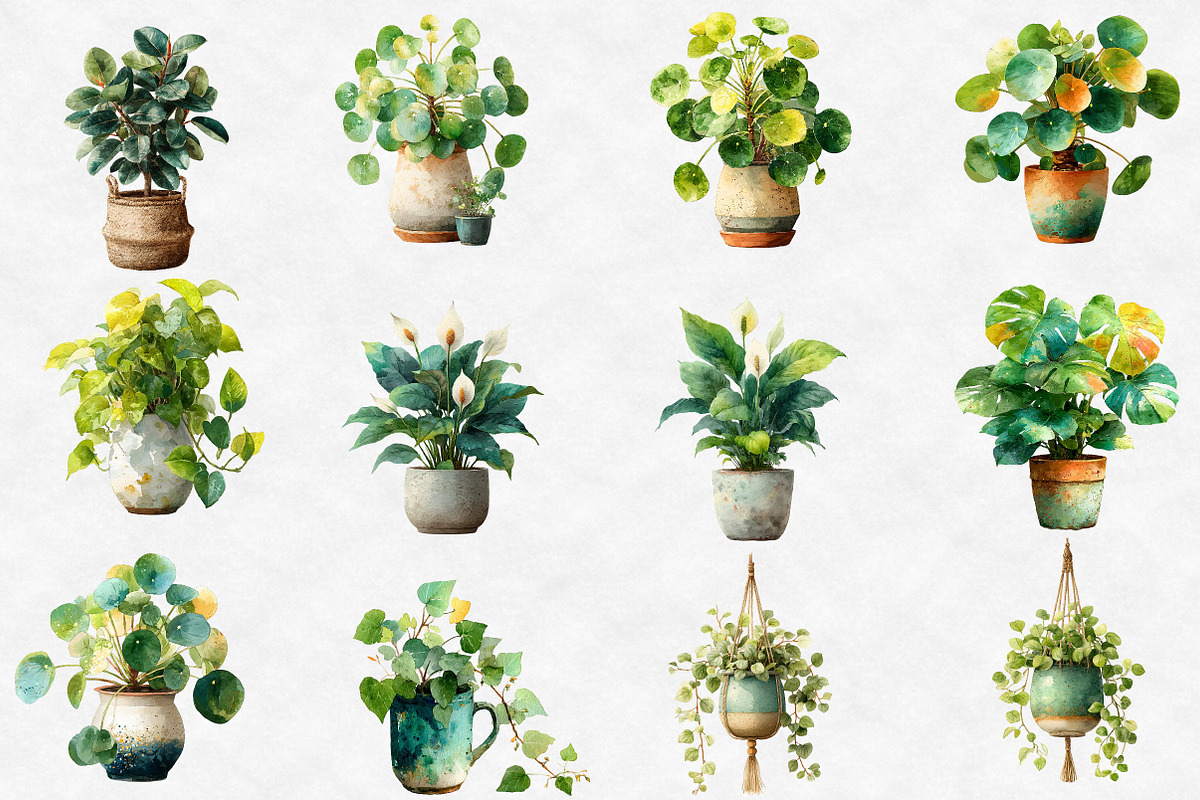 Watercolor House Plants clipart, an Illustration by Designworld (Photo 5 of 6)