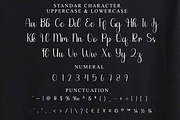 Hiking, a Handwritten Font by FreshTypeINK (Thumbnail 4 of 8)