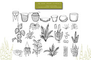 Home Plants Clipart Collection, a Graphic by Hand drawn Boutique (Thumbnail 4 of 10)