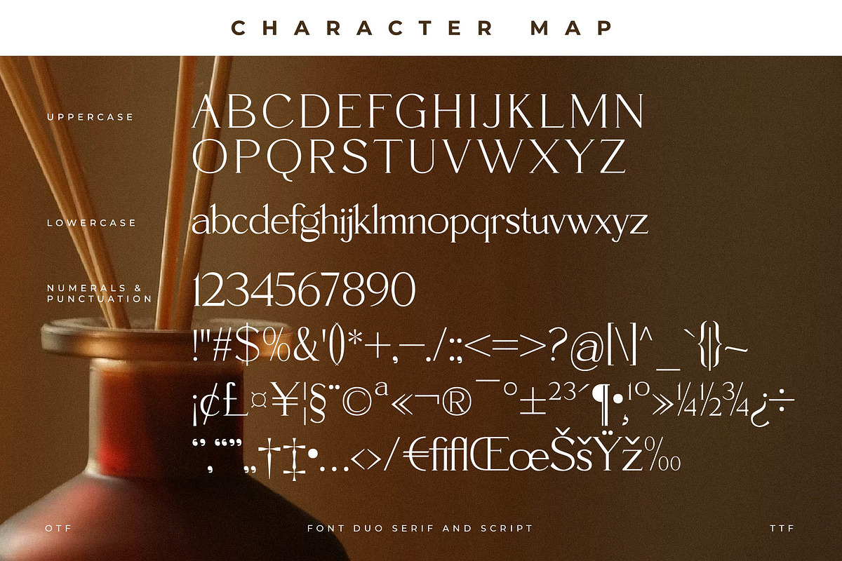 Fanttor Howery Font Duo, a Serif Font by Storytype Studio (Photo 11 of 15)