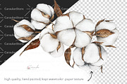 Cotton Plant Watercolor, an Object Illustration by CaraulanStore (Thumbnail 7 of 10)