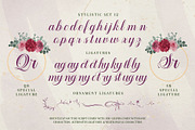 Mountleaf Typeface, a Script Font by alit design (Thumbnail 16 of 20)