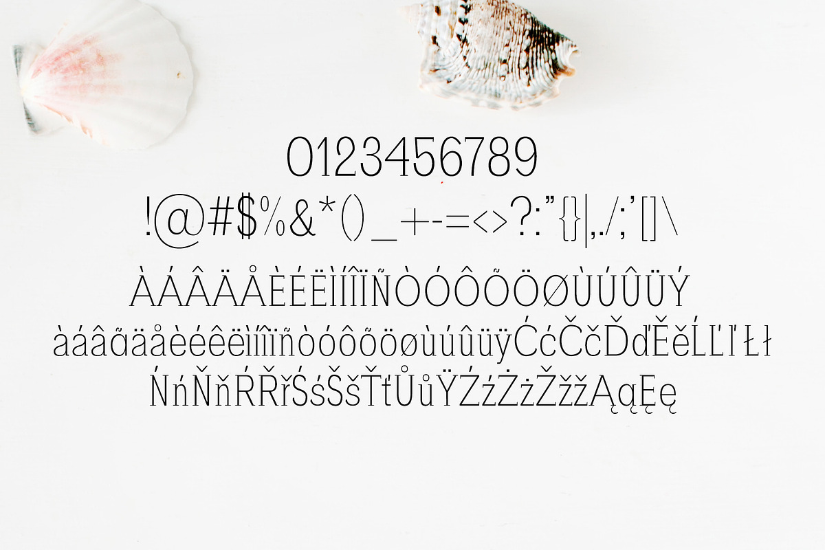 Zayley Serif Regular Font preview 3