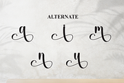 Alphabet | Script Font, a Handwritten Font by Scratchones (Thumbnail 8 of 9)