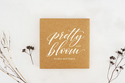 Shington Script, a Script Font by Solidtype (Thumbnail 2 of 9)