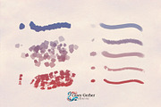 Quintessential Brush Pack, a Brushes & More by Casey Gerber Creative (Thumbnail 5 of 6)