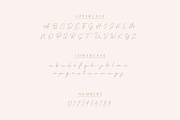 Monoline Boho | A Handwritten Script, a Handwritten Font by Vanem Studio (Thumbnail 6 of 11)