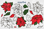 Festive Florals, a Seasonal Illustration by melissadn (Thumbnail 7 of 14)