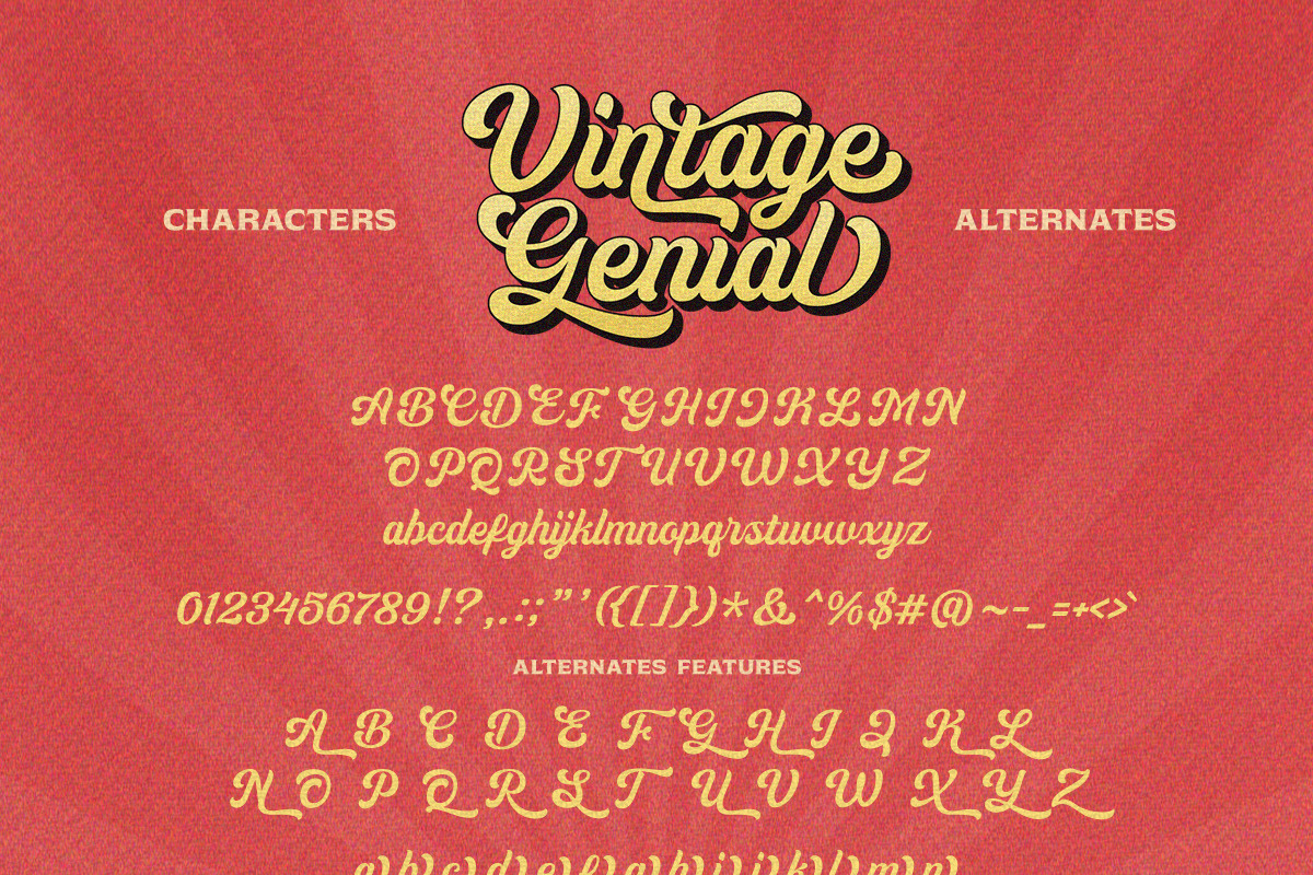Vintage Genial | Variables Script, a Script Font by Typeskets (Photo 11 of 13)